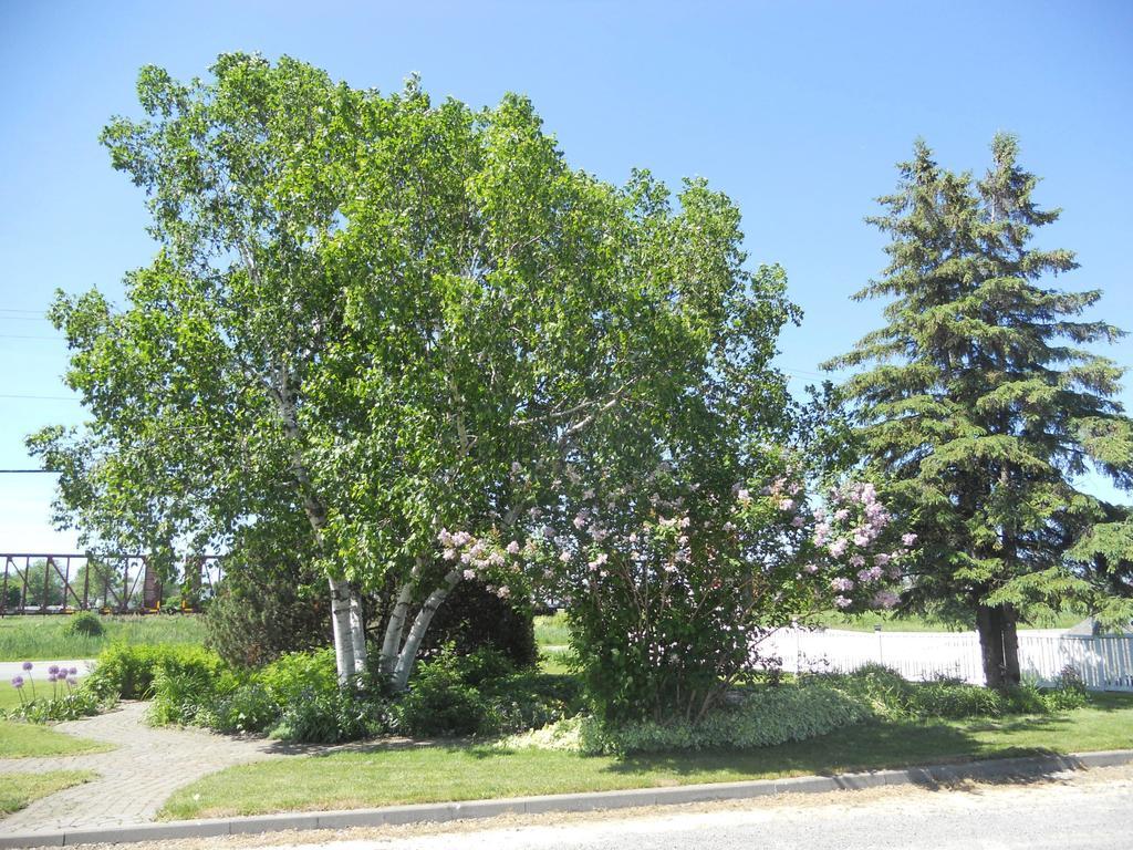 Motel Normandie Louiseville Екстериор снимка